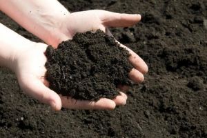 Why does temperature affect composting and fermentation of livestock manure