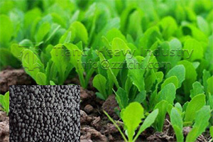 The production of organic fertilizer has many benefits for vegetable planting
