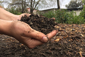 Production process of general bio organic fertilizer