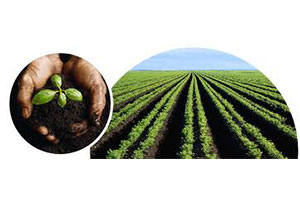 What is the difference between organic fertilizer production and inorganic fertilizer production